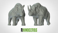 Thumbnail for Rhinoceri