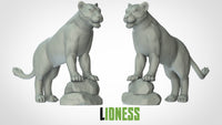 Thumbnail for Lioness