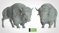 Thumbnail for Bison