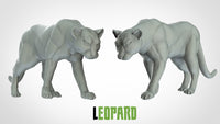 Thumbnail for Leopard