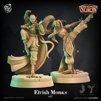 Thumbnail for Elvish Monk