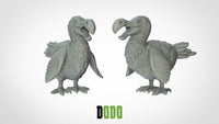 Thumbnail for Dodo