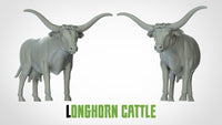 Thumbnail for Longhorn Cattle