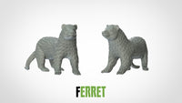 Thumbnail for Ferret
