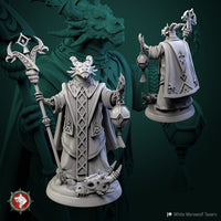 Thumbnail for Dragonborn High Priest