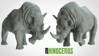 Thumbnail for Rhinoceri