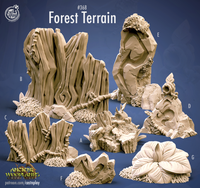 Thumbnail for Forest Terrain