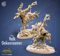 Thumbnail for Valk Oakenroamer