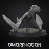 Thumbnail for Dimorphodon