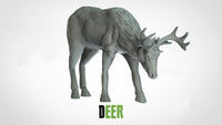 Thumbnail for Deer