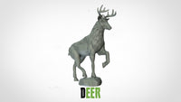 Thumbnail for Deer