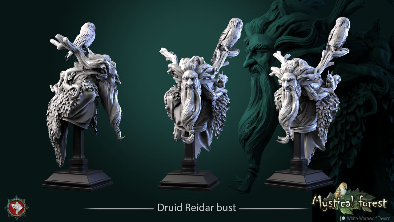 Druid Reidar - Bust