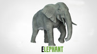 Thumbnail for Elephants