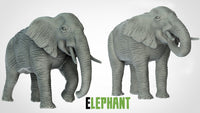 Thumbnail for Elephants