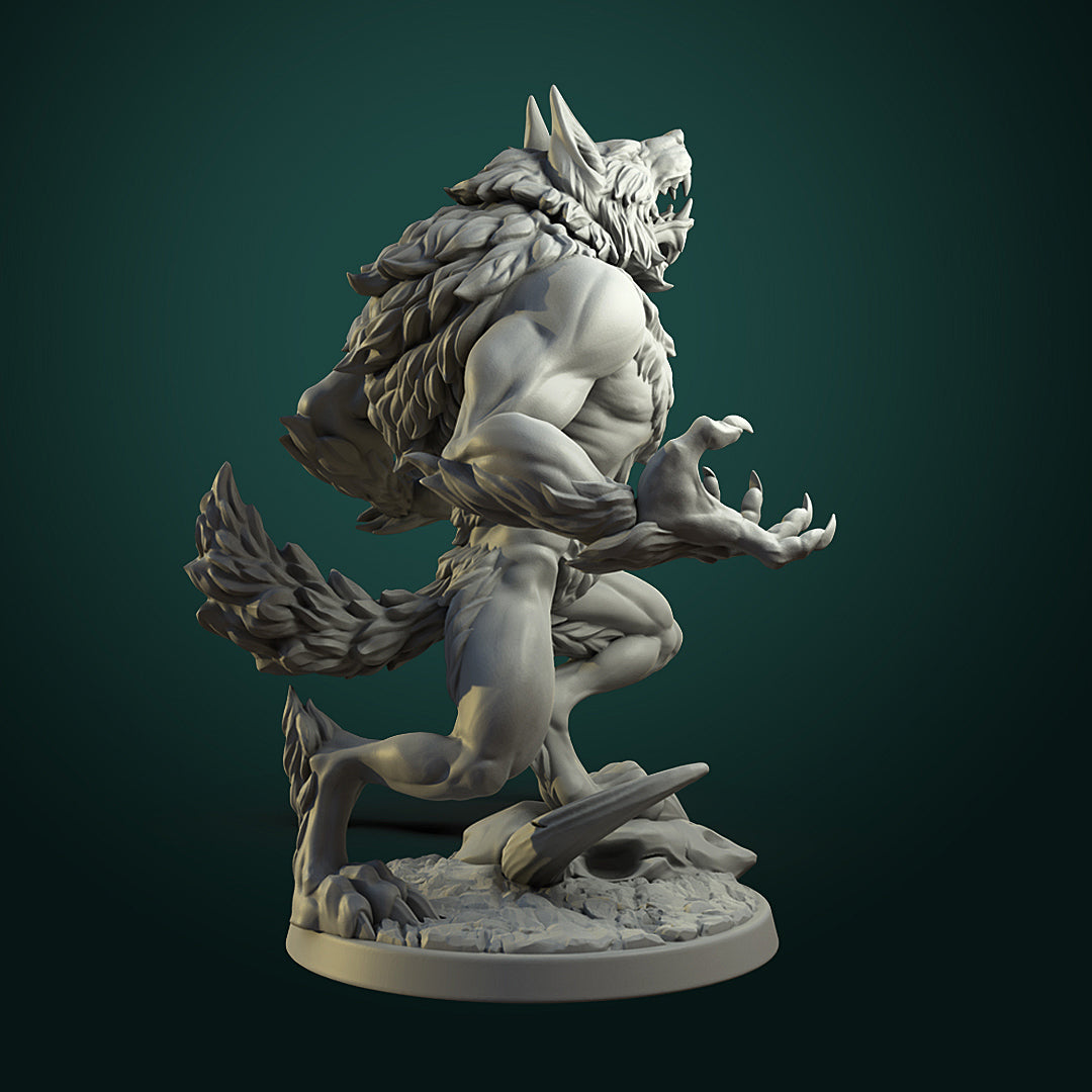 Furious Werewolf
