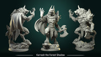 Thumbnail for Karrash The Forest Shadow