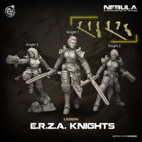 Thumbnail for ERZA Knights Bundle
