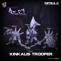 Thumbnail for Kinkalis Trooper Bundle