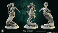 Thumbnail for Female Naga Warrior Bundle