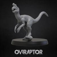Thumbnail for Oviraptor