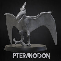 Thumbnail for Pteranodon