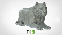 Thumbnail for Tigers
