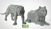 Thumbnail for Tigers