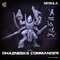 Thumbnail for Ghazneeks Commander