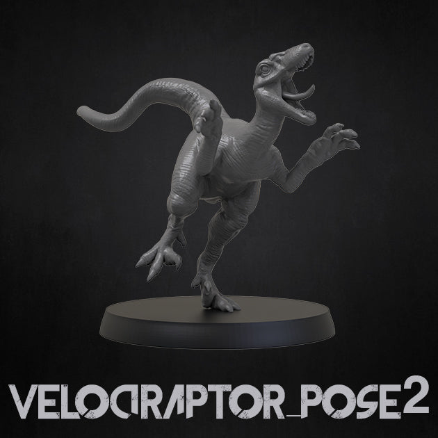Velociraptor Bundle