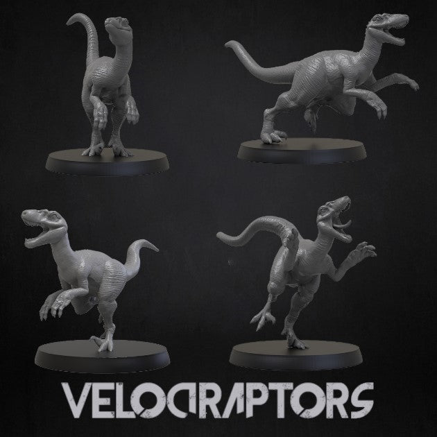 Velociraptor Bundle