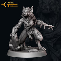 Thumbnail for Werewolf Bundle
