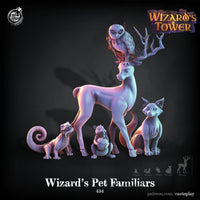 Thumbnail for Wizard's Pet Familiars